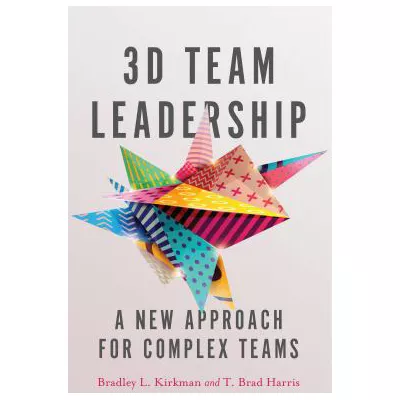 3-D Team Leadership