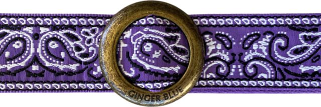 Texas Christian University Belt