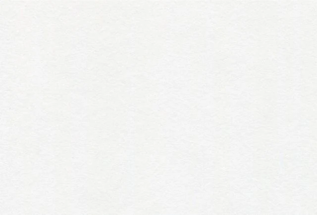 CANSON STUDENT DRAWING SHEETS 18X24