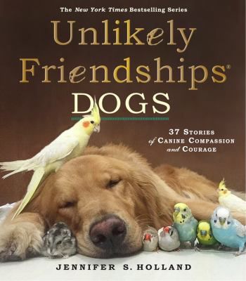 DOGS UNLIKELY FRIENDSHIPS