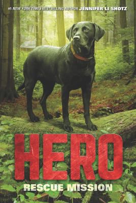HERO RESCUE MISSION