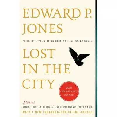 Lost in the City