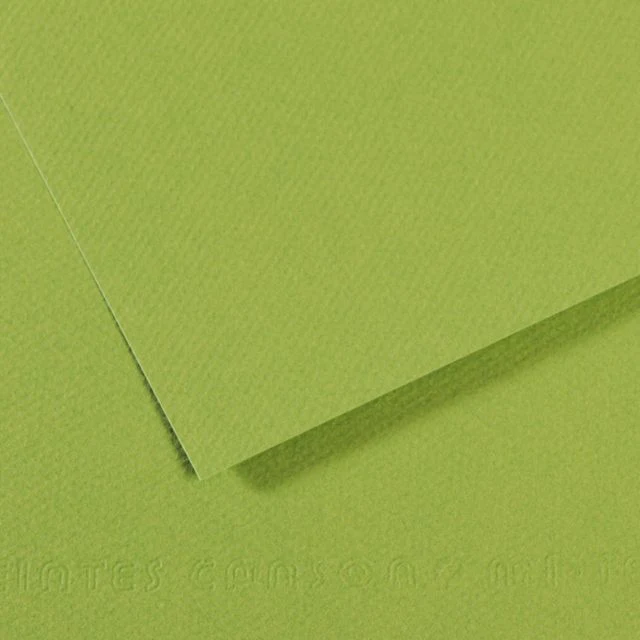MI-TEINTES 475 GREEN 8.5X11