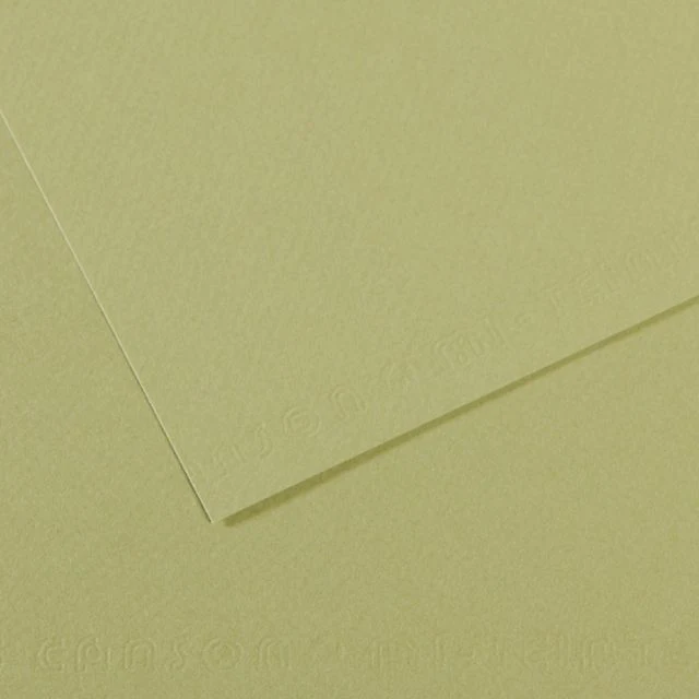 MI-TEINTES 480 LIGHT GREEN 19X25