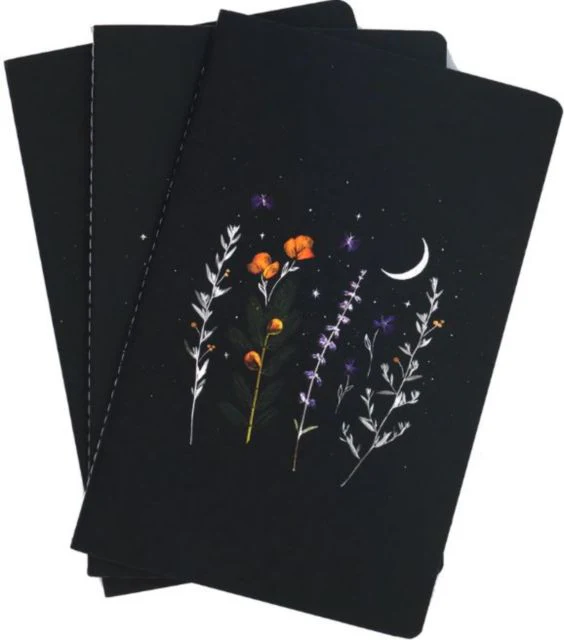 NOTEBK AMEYAS REALM SKINNY 3PK