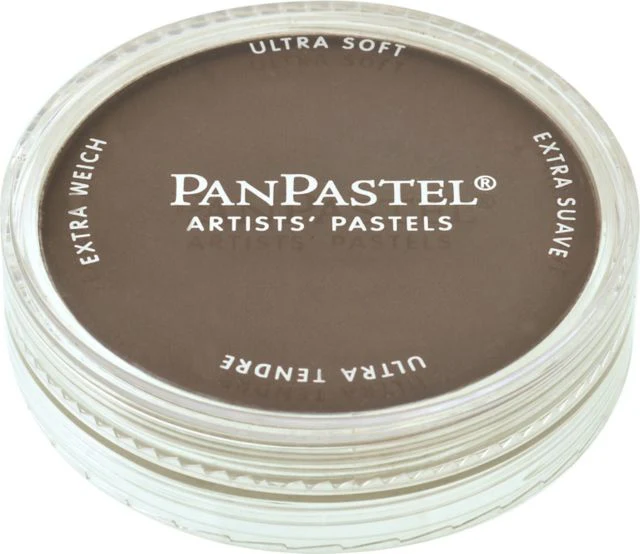PANPASTEL 9ML RAW UMBER SHADE
