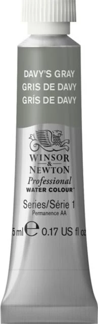 Professional Watercolor 5mL Davy Gray