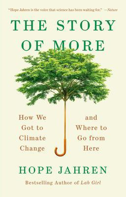 STORY OF MORE